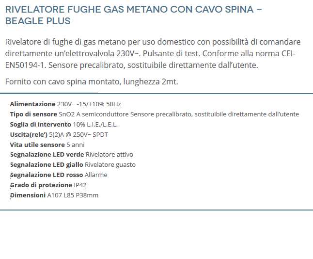 RILEV.FUGHE GAS MET C/SPIN