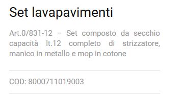 MOP/MOCIO C/MANICO+SECCHIO