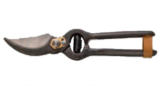 FORBICE VIGNA D/BUOI 21 cm