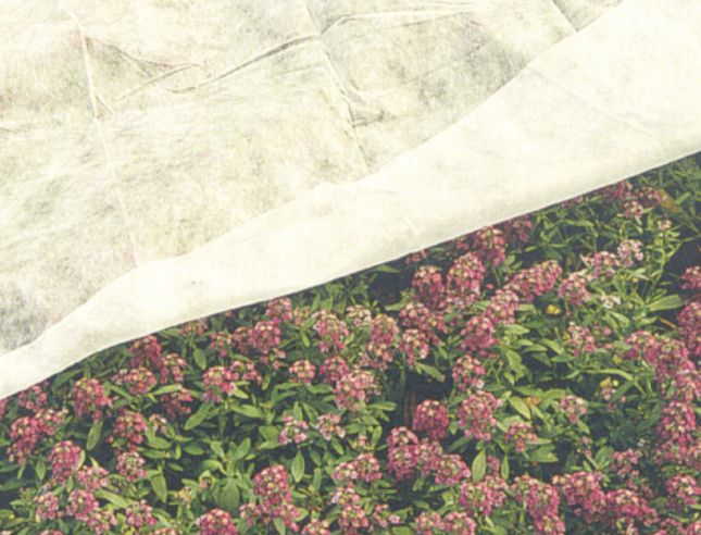 VELO TNT MT 1.6x5 17GR/MTQ