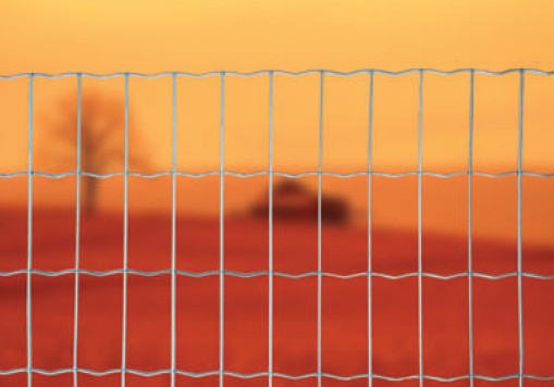 RETE AUTOSTRADA 75x50 H 60