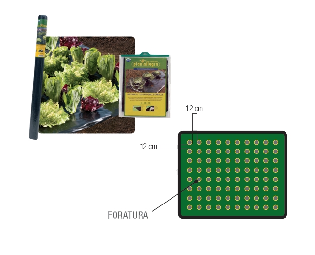 FILM PACC/CIPOLLE  1.2x50M