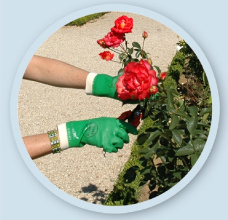 GUANTO SHOWA MOD 600  TG 8