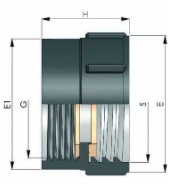 RACCORDO CISTERNA S100X2"F