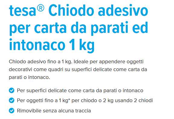 CHIODI ADES REG x MURO 1KG