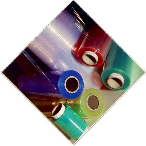 PELLIC EST TRAS 23MY 50 CM