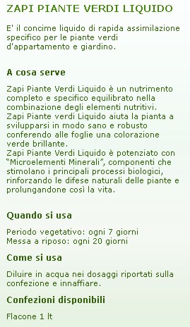 ZAPI CONC PIANTE VERDI  1L