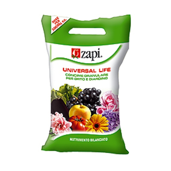 ZAPI UNIV/LIFE ORT/GIAR 4K