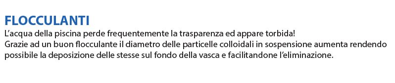 FLOCULANTE LIQUIDO DA 1 LT