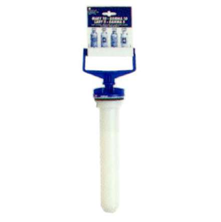 POMPANTE x LADY/MARY      