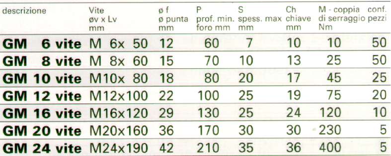 TASSELLO GM C/VITE 6 TE   