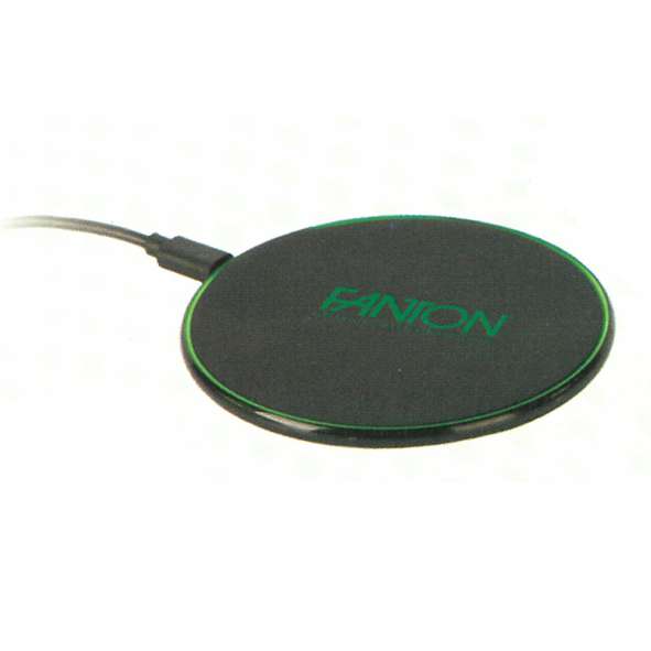 CARICABATTERIE CELL INDUZ 