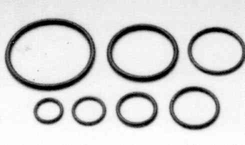 O-RING diametro 15MM INOX-ACC CARB