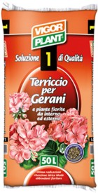 TERRICCIO GERANI      LT20