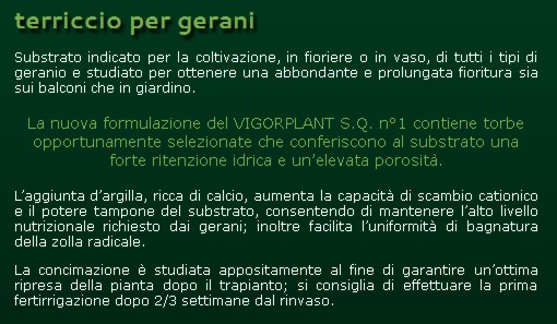 TERRICCIO GERANI      LT20