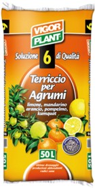 TERRICCIO AGRUMI      LT20