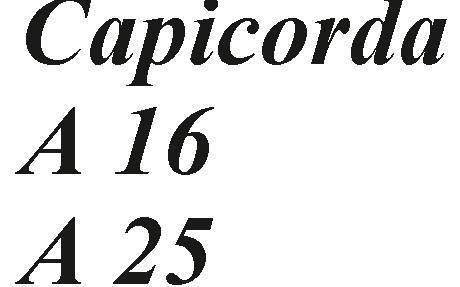 CAPICORDA A/16            