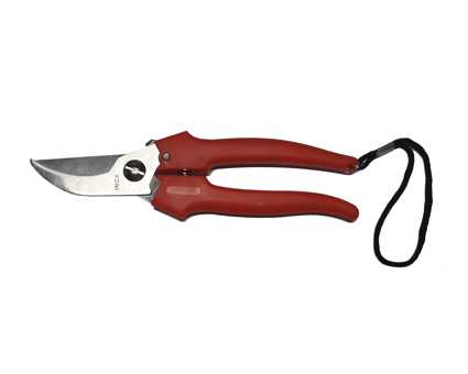 FORB COGLIUVA LAMA INOX 19