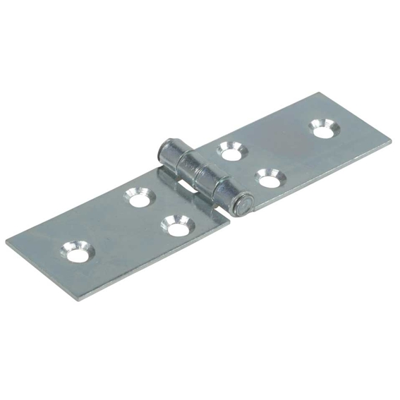 CERNIERE LUNGHE 22x70 ZINC