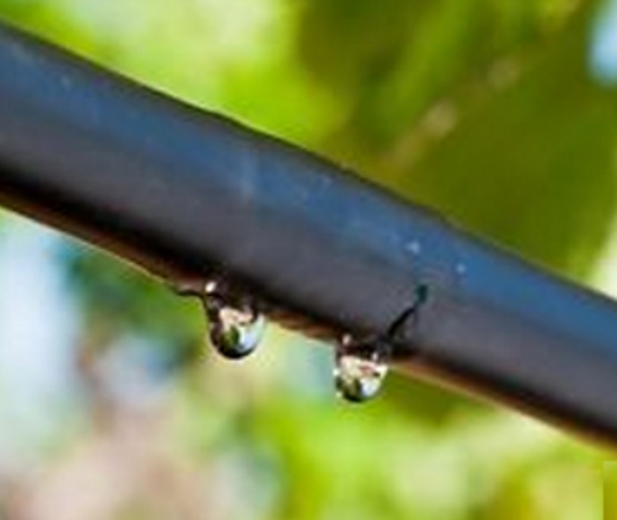 ALA GOCC 16-33-2L COMP100M