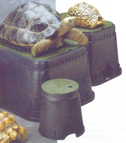 ELETTROVALVO 9V BIST FF 1"