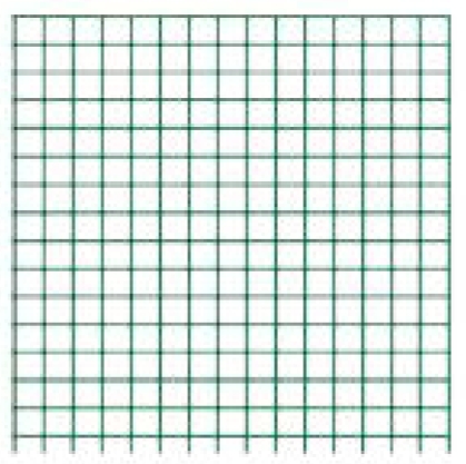 RETE VOLIERA  12x12 1Mx10M