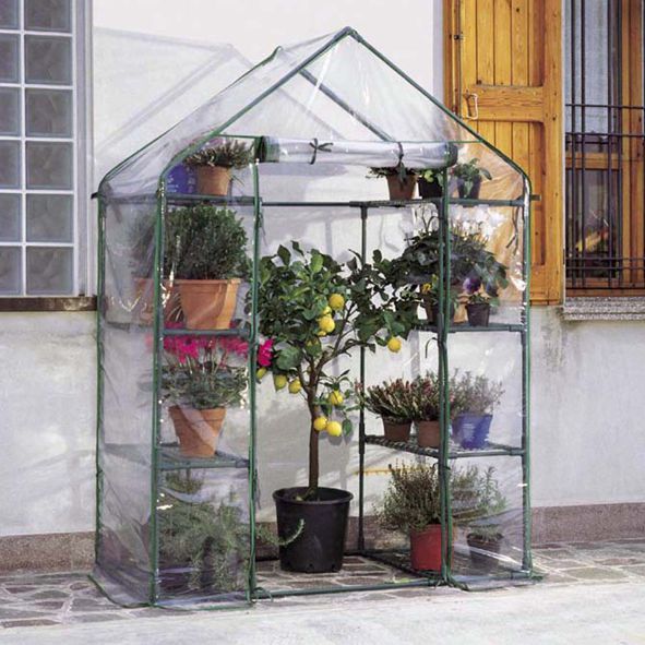TELO SERRA IBISCUS 8  2516