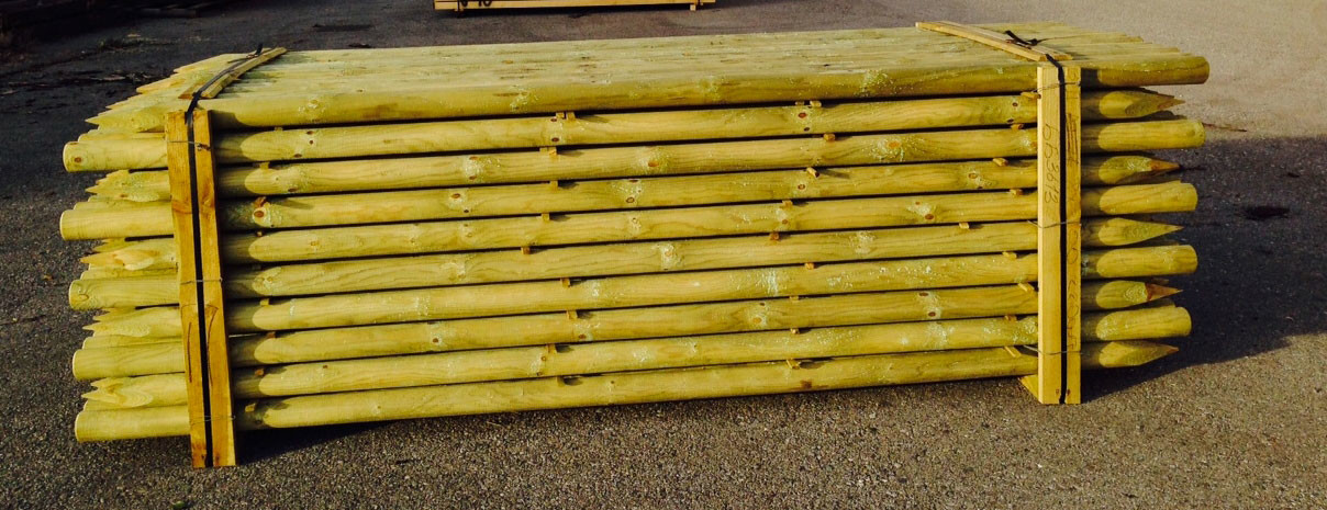 PALI IMPREGNATI DIAM. 10 LUNGH. CM.250 PUNTA