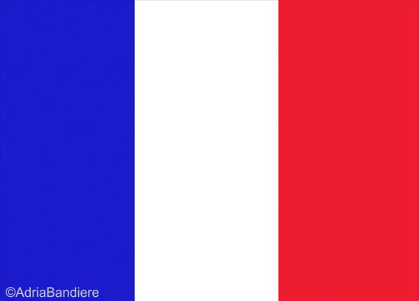 BANDIERA FRANCIA CM70X100