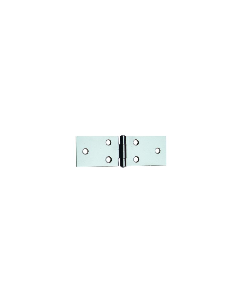 CERNIERA PERNO FISSO 122 IN INOX 3. 1/4 31X80 MM