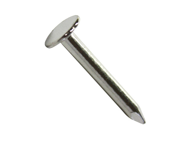 Chiodo testa piana larga 3,0X20MM GRAMMI 50 in ferro zincato.