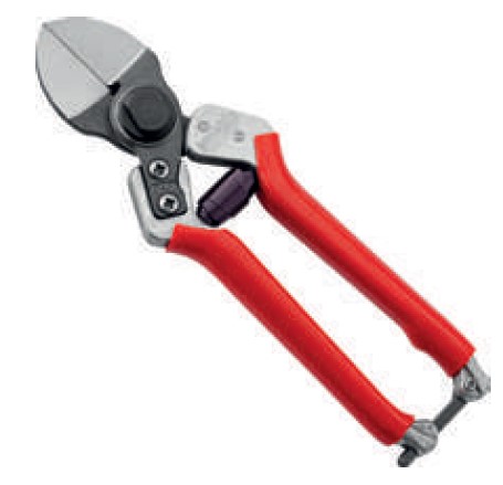 Forbice per frutteti a doppio taglio cm21 AUSONIA ART. 81116