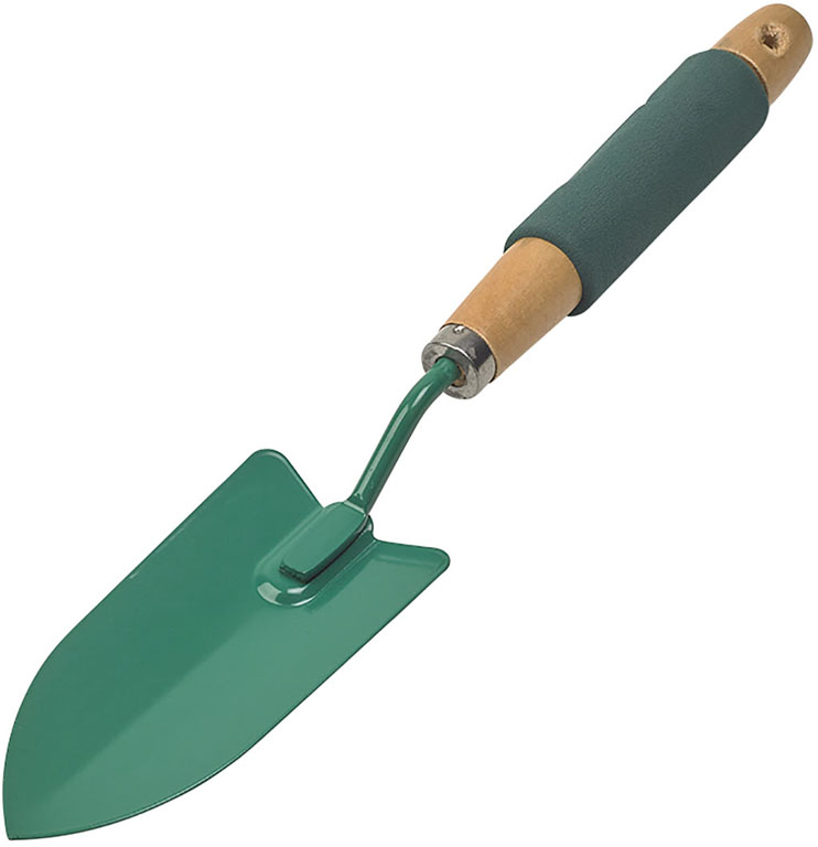 TRAPIANTATORE STRETTO VERNICIATO CON MANICO IN LEGNO + SPUGNA 37X6,3CM