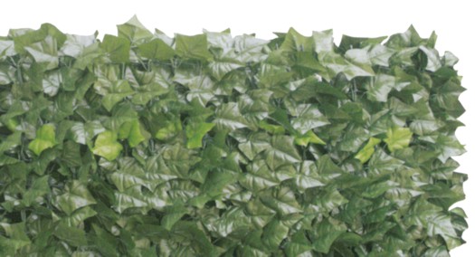 SEMPREVERDE EDERA H150 3MT