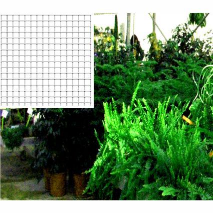 RETE ZINCNET  12X12 H50 5M