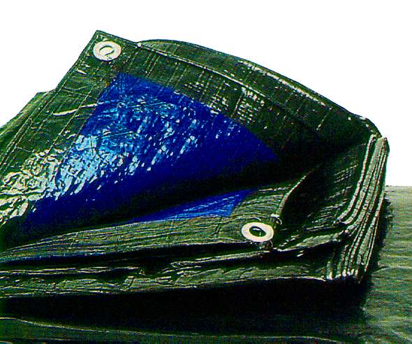 TELO C/OCCH CHEAP      2X2