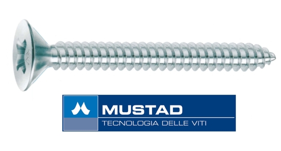 VITI AUTOF TSP 4,2X25  BIA