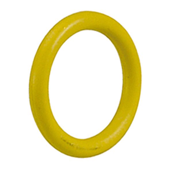 O-RING GIAL BIC GIACOM diametro 12