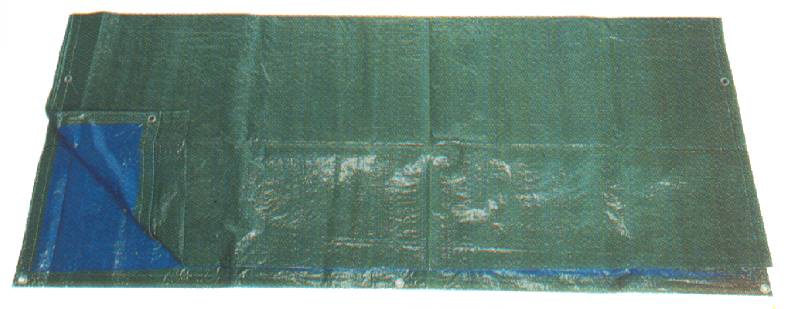 TELO C/OCCH CHEAP    10X15
