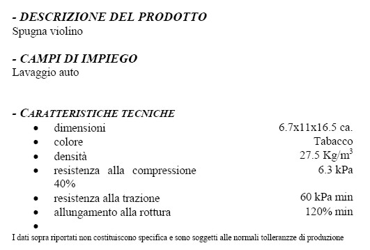 WIZZY SPUGNA AUTO         