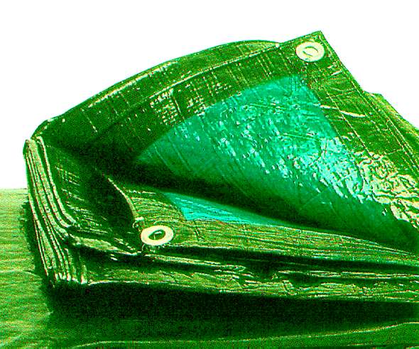 TELO C/OCCH COVER/JOL  6X8