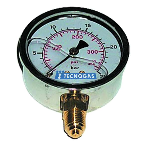 MANOM INOX RAD1/4 0-6 GLIC