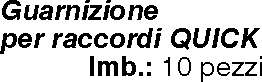 GUARNIZIONE x RACCORDO RAP