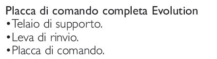PLACCA COMANDO DUAL EVOL B