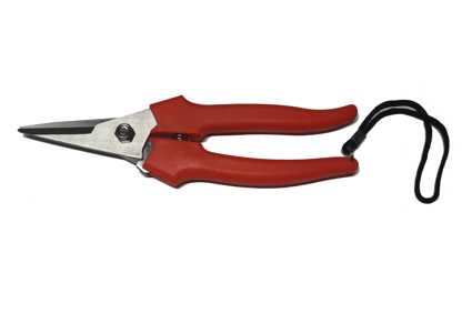 FORBICE COGLIUVA 15CM LACC