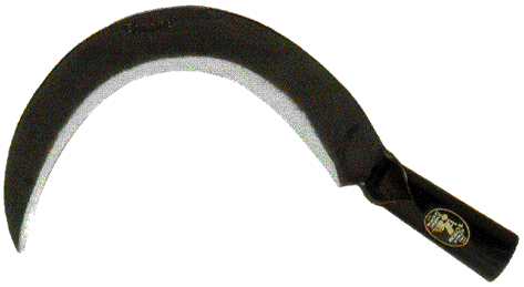 RONCOLA SCANSANO C/CANNA26