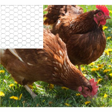 RETE COCCO NET 16 H50x10MT