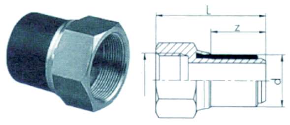RACC TRANS PE/OT F 2x63   