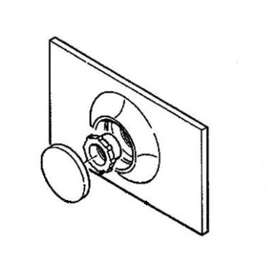 PULSANTE X PLACCA P80 BIAN