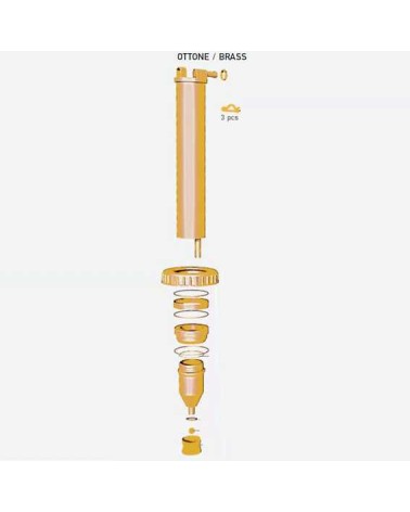 POMPANTE OTTONE x ROSY 12L